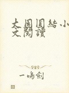 大团圆结小茹全文阅读