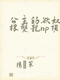 公主的欲奴h四根双龙np视频