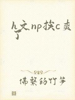h文np挨c爽了