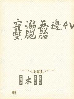 宠溺无边4V2双胞胎