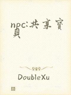 npc:共享宝贝