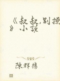 《叔叔,别撩我》小说