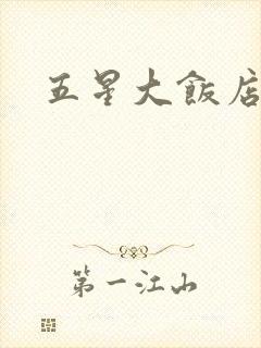五星大饭店小说