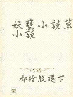 妖孽小说草莓酱小说