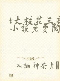 t大校花三部曲小说免费阅读全文