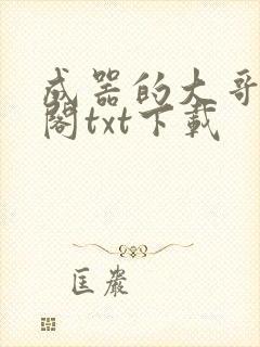 成器的大哥笔趣阁txt下载
