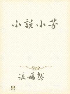 小说小芳