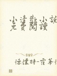 小清欢小说全文免费阅读