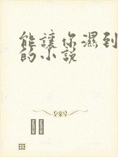 能让你湿到不行的小说