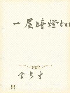 一屋暗灯txt