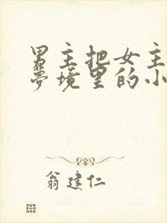 男主把女主拖进梦境里的小说