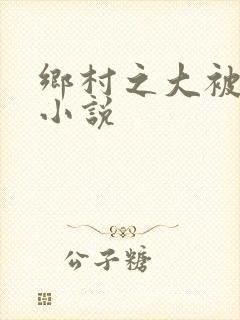 乡村之大被同眠小说