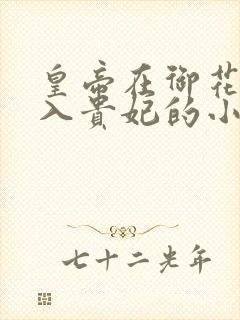 皇帝在御花园进入贵妃的小说