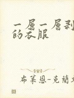 一层一层剥开你的衣服