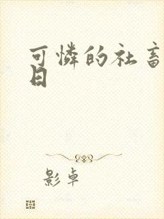 可怜的社畜东度日