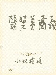 陆昭菱晋王的小说免费阅读