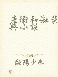 老卫和淑荣的经典小说