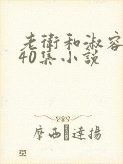 老卫和淑容1-40集小说