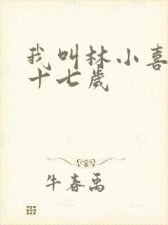 我叫林小喜今年十七岁