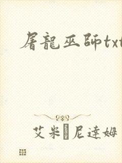 屠龙巫师txt