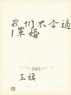我们不合适1v1军婚