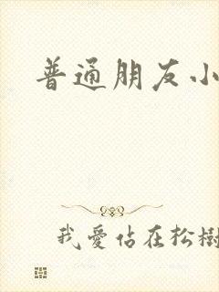普通朋友小说