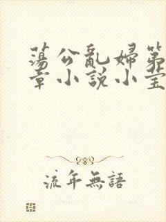 荡公乱妇第51章小说小莹