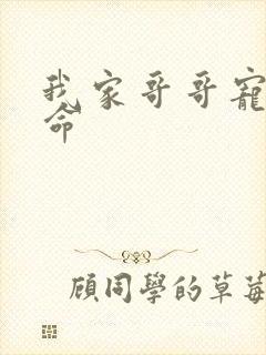 我家哥哥宠妹如命