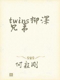 twins柳泽兄弟
