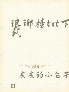 琅琊榜txt下载