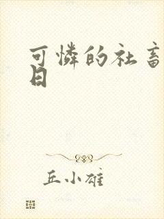 可怜的社畜东度日