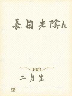 长日光阴h