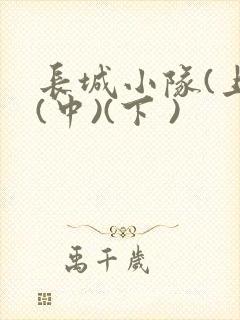 长城小队(上)(中)(下 )