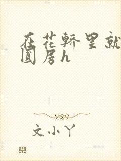 在花轿里就开始圆房h