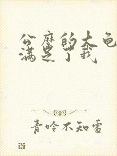 公么的大龟强大满足了我