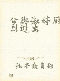 公与淑婷厨房猛烈进出