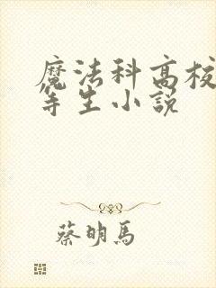 魔法科高校的劣等生小说