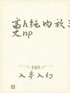 高h纯肉放荡h文np