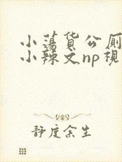 小荡货公厕h文小辣文np视频