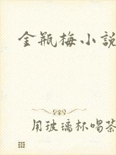 金瓶梅小说下载