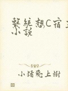 系统想C宿主的小说