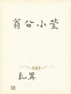翁公小莹