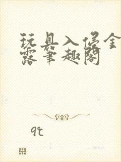 玩具入侵金银花露笔趣阁