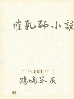 催乳师小说