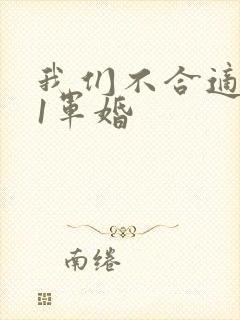 我们不合适1v1军婚