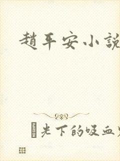 赵平安小说主角