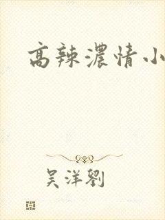 高辣浓情小说