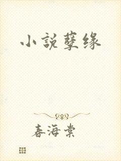 小说孽缘