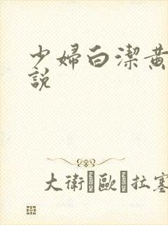 少妇白洁黄色小说