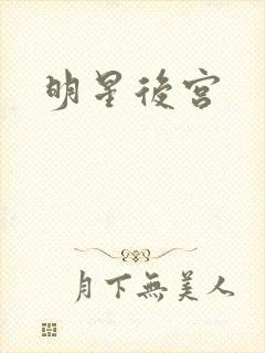 明星后宫